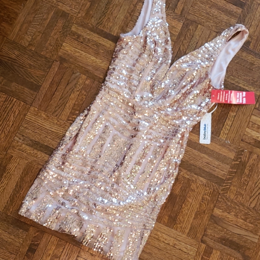 NWOT Rose Gold Sequin Dress - Picture 7 of 12